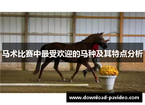 马术比赛中最受欢迎的马种及其特点分析 马术比赛中最受欢迎的马种及其特点分析