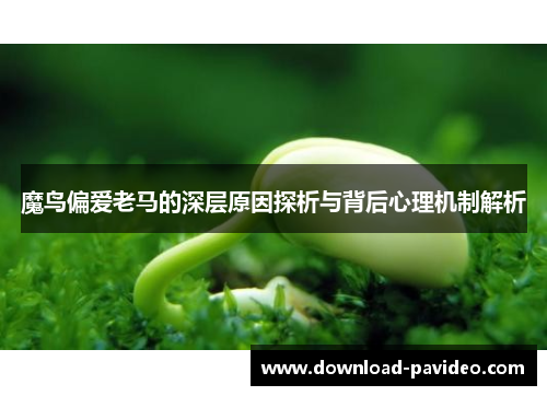 魔鸟偏爱老马的深层原因探析与背后心理机制解析 魔鸟偏爱老马的深层原因探析与背后心理机制解析